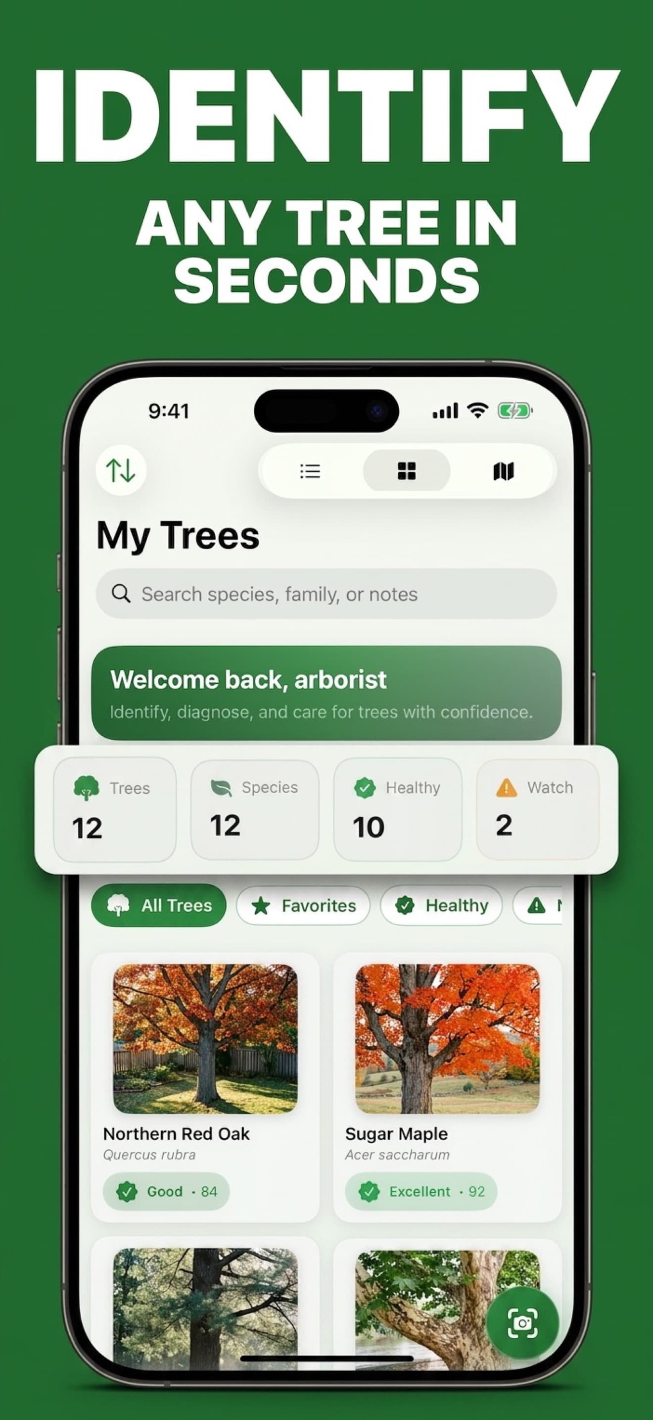 Identify any tree in seconds with AI